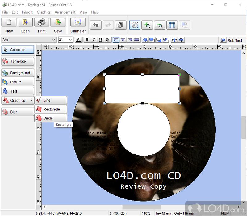 Epson Print CD screenshot