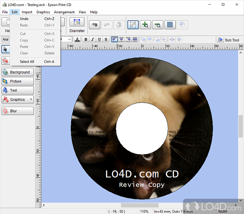 Epson Print CD screenshot