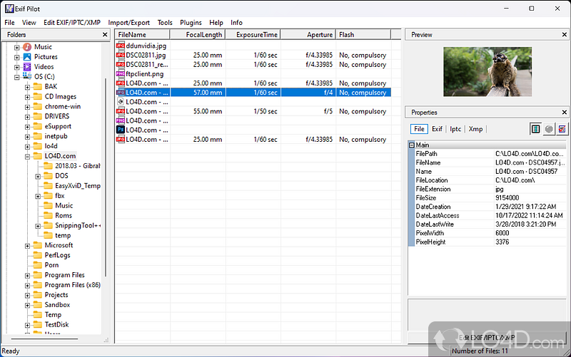 Plenty of formats to work with - Screenshot of Exif Pilot