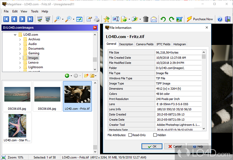 File management tools - Screenshot of MegaView