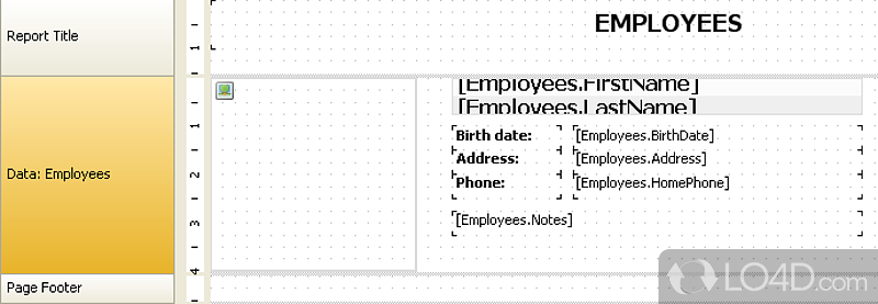 Write down scripts compatible with popular programming languages, configure databases - Screenshot of FastReport Studio