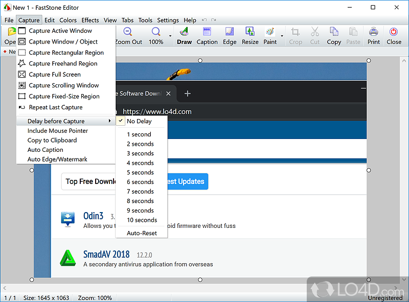 instal the new version for windows FastStone Capture 10.1