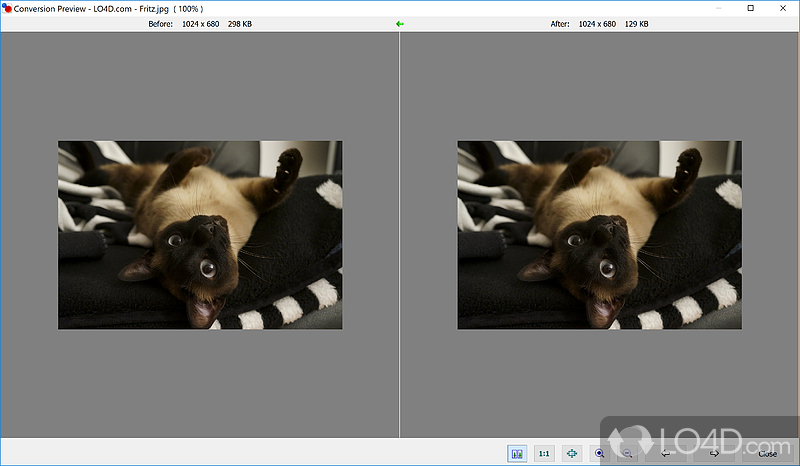 Free Fast and Powerful Image Converter and Resizer - Screenshot of FastStone Photo Resizer