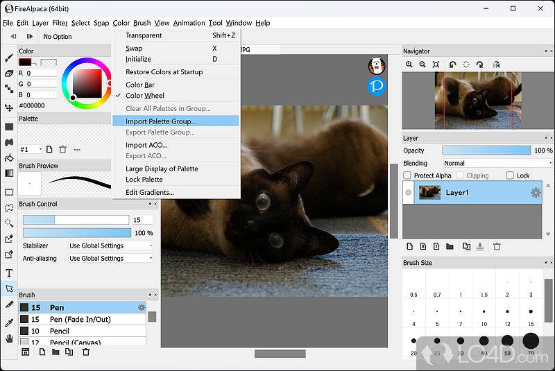Free image editing software for PC - Screenshot of FireAlpaca