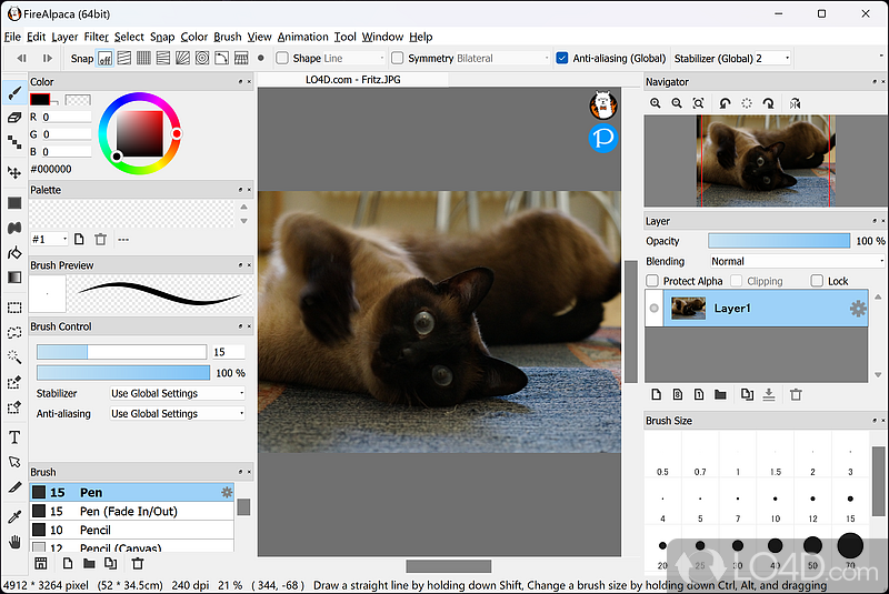 Image editor that supports layers and other advanced features - Screenshot of FireAlpaca