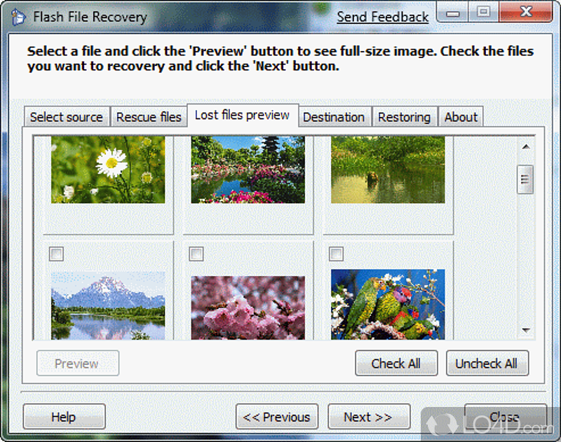 Can preview and salvage corrupt data from a flash drive - Screenshot of Flash File Recovery