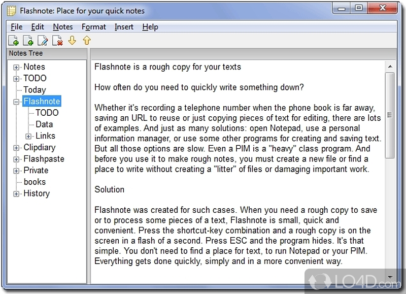 Flashnote: User interface - Screenshot of Flashnote