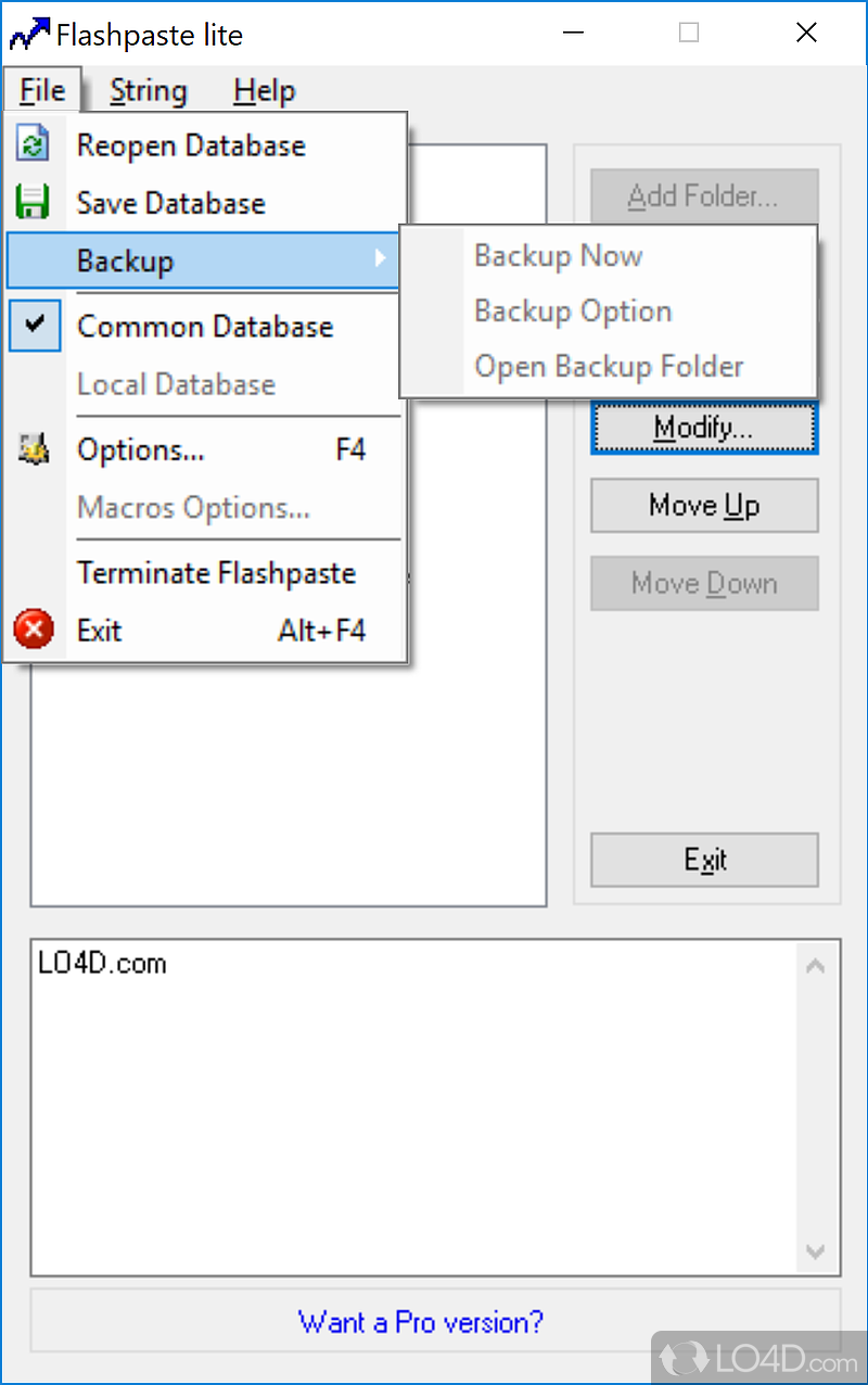 Limited string database management options - Screenshot of Flashpaste Lite