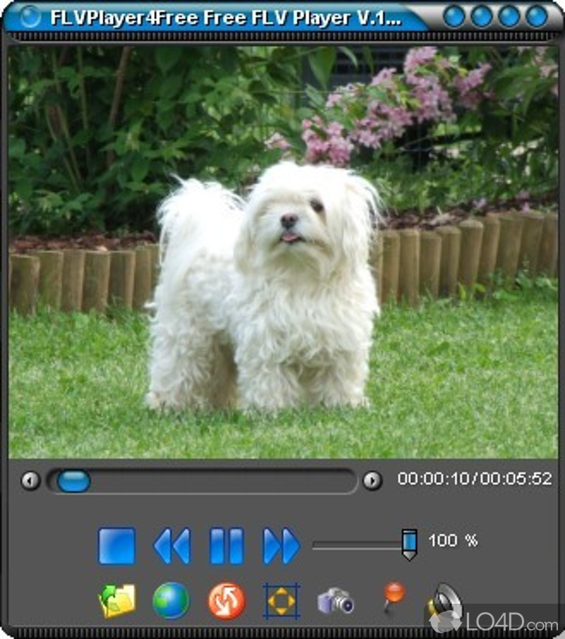 Player for FLV video files - Screenshot of FLVPlayer4Free