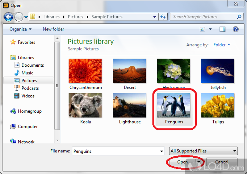 Support for an abundance of formats - Screenshot of Free Opener