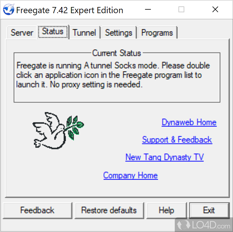 Enhcances connection for other apps - Screenshot of Freegate Expert Edition