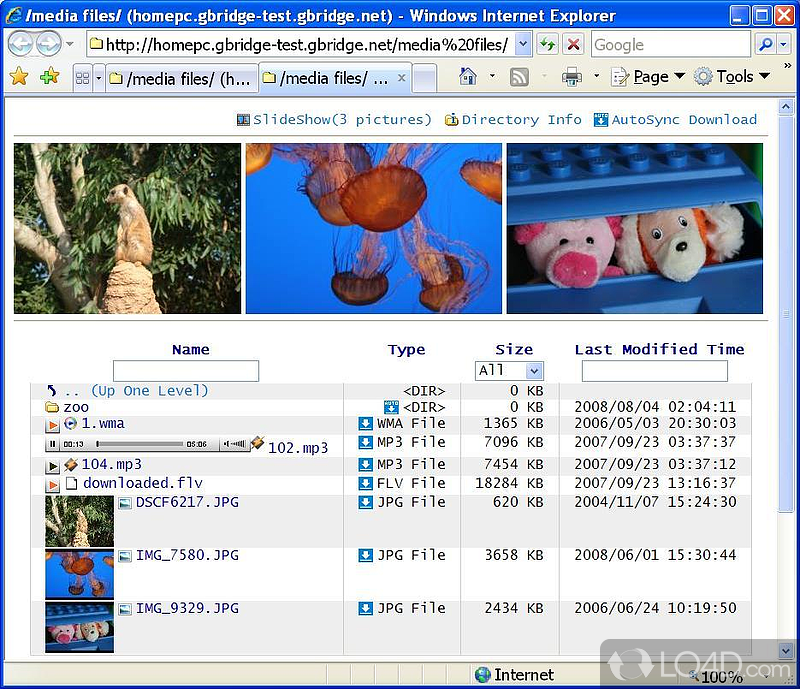 User-friendly interface with multiple tabs - Screenshot of GBridge