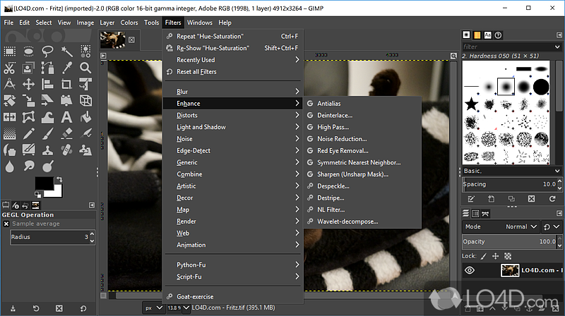 Remove all the panels and tools from the workflow - Screenshot of GIMP