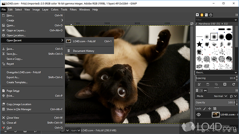 The setup process and customizable interface - Screenshot of GIMP