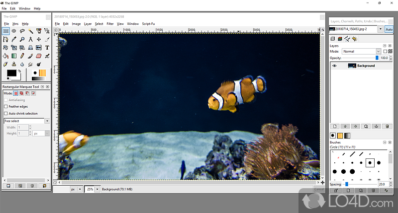 Open Source image editor that is similar to the popular Adobe Photoshop - Screenshot of GIMPshop