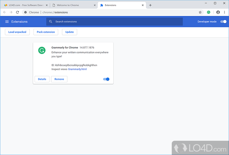 Free web browser for Windows - Screenshot of Google Chrome Portable