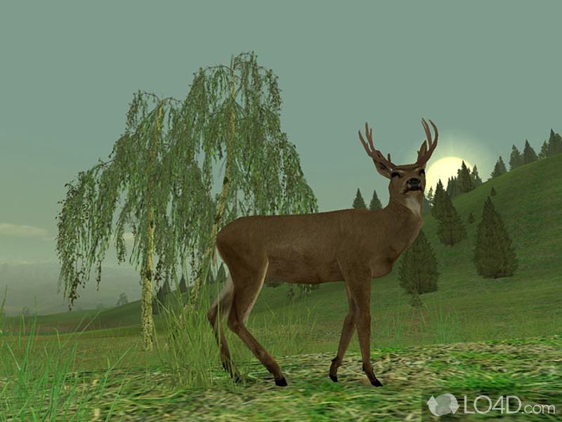 Hunting Unlimited 3 screenshot
