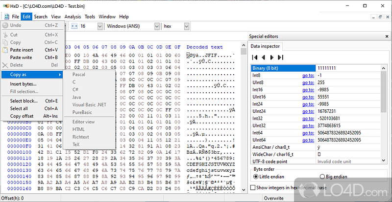 Edit hexadecimal code with the help of this light - Screenshot of HxD