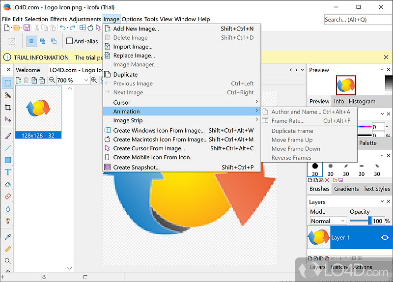 IcoFX: Advanced Editor - Screenshot of IcoFX