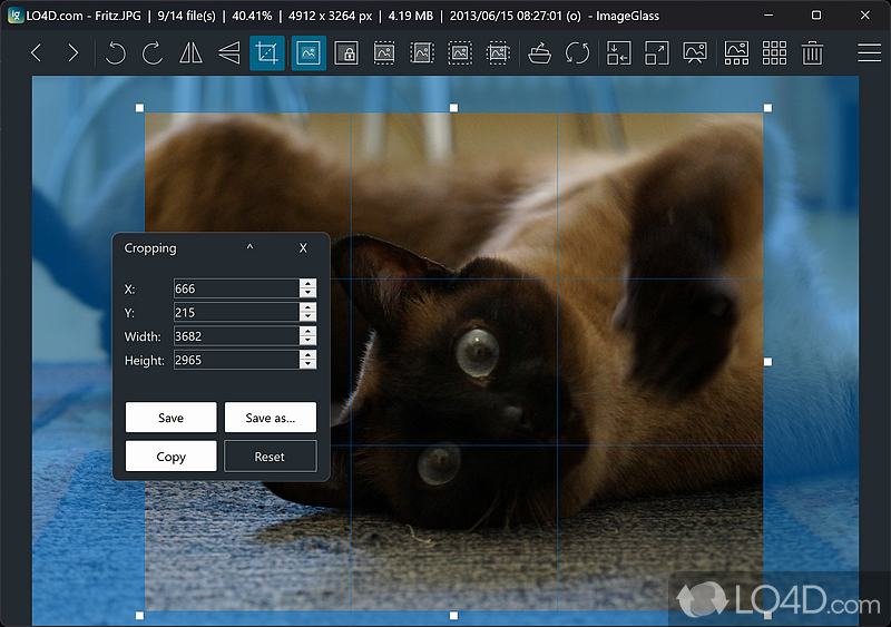 Clean feature lineup - Screenshot of ImageGlass
