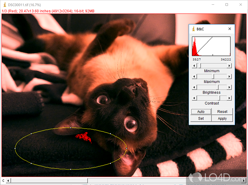 ImageJ: Image processing - Screenshot of ImageJ