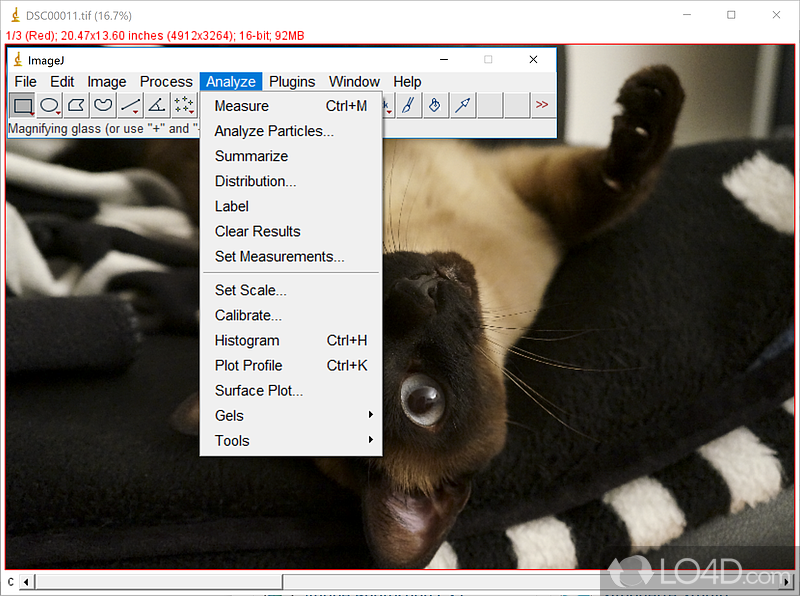 Cross platform image editor - Screenshot of ImageJ