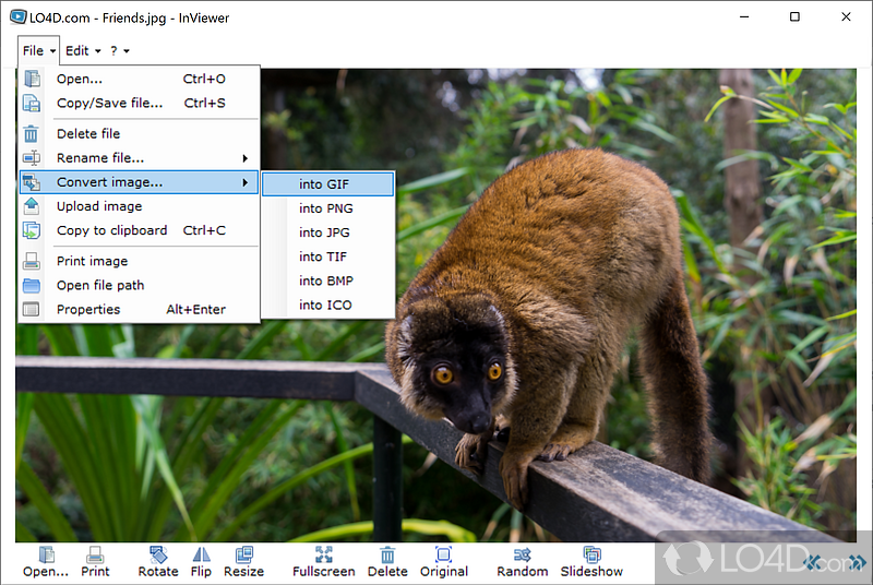 Viewer and converter for images - Screenshot of InViewer