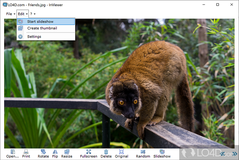 Fast media viewer and editor supporting many image formats - Screenshot of InViewer