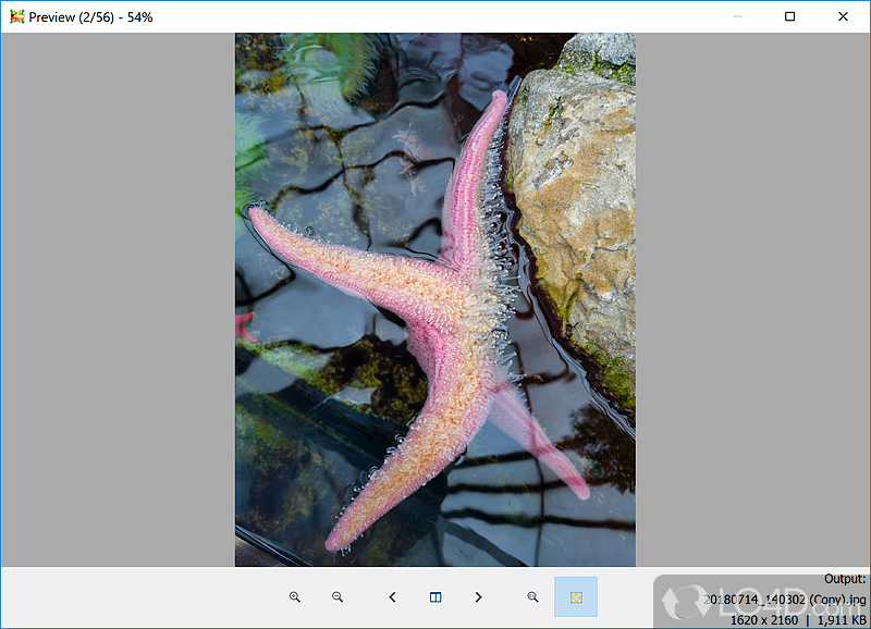 Feature-packed image editor - Screenshot of Light Image Resizer