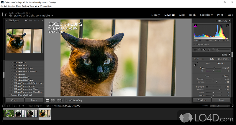 download adobe photoshop lightroom classic cc torrent