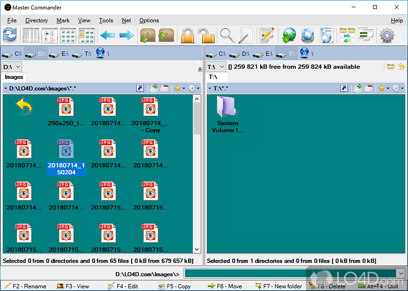 Orthodox file manager which comes bundled with many configurable options - Screenshot of Master Commander