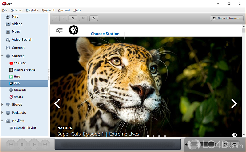 Miro: BitTorrent - Screenshot of Miro