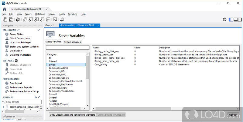 Program to interact easily with MySQL database - Screenshot of MySQL Workbench