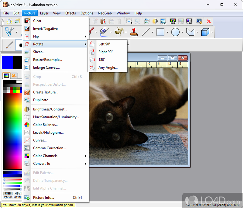 Graphics/Photo Editor for Windows - Screenshot of NeoPaint