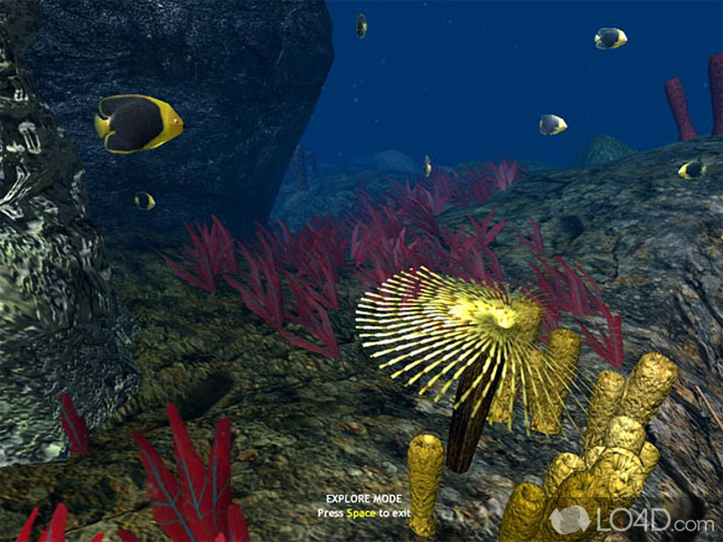 Unique combination of a 3D marine life screensaver - Screenshot of OceanDive