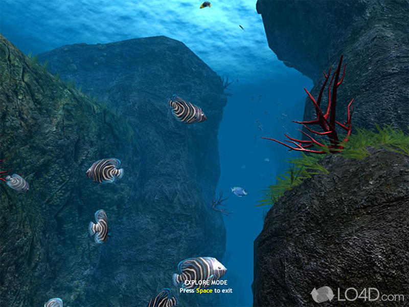 OceanDive screenshot