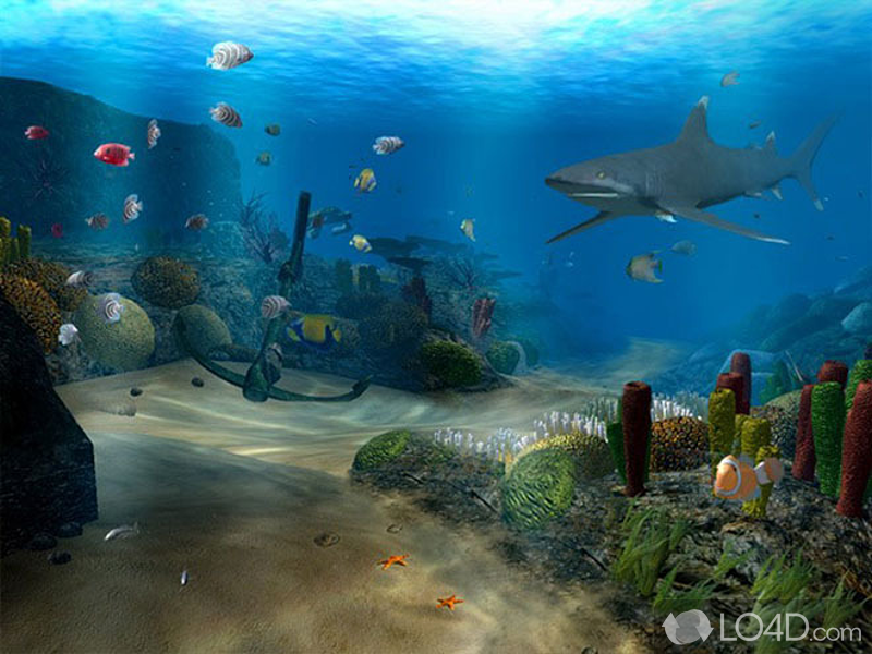Unique combination of a 3D marine life screensaver - Screenshot of OceanDive