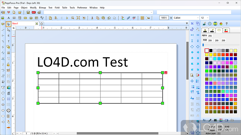 Program is an electronic-form and app builder - Screenshot of PageFocus Pro