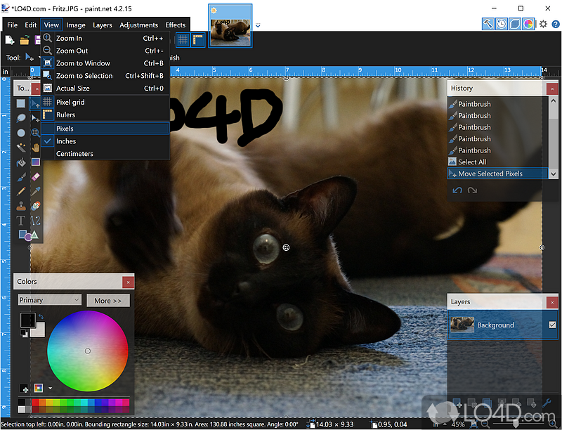 View and edit images. Add effects and filters - Screenshot of Paint.NET