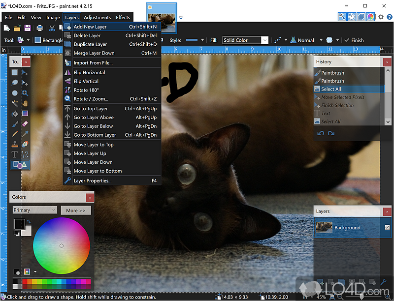 Free image creator and editor - Screenshot of Paint.NET