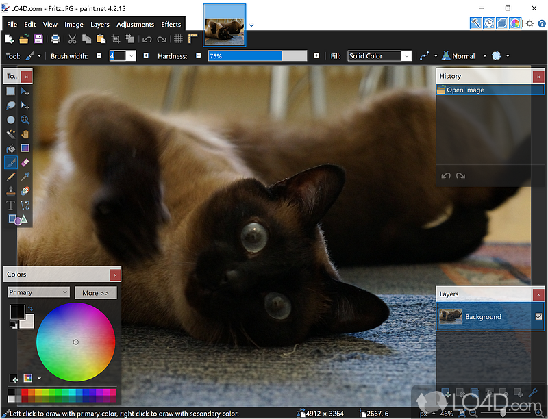 Packed with an array of options and an interface, this app can create professional-looking photographs - Screenshot of Paint.NET