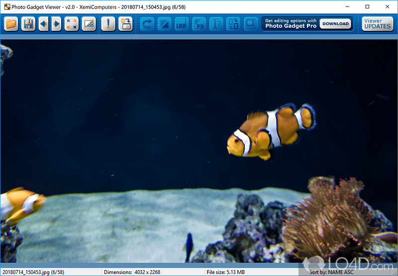 Free and fast viewer for digital photos - Screenshot of Photo Gadget Viewer