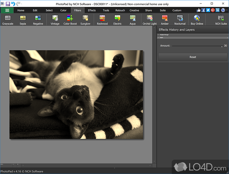 photopad image editor full version