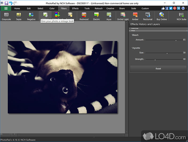 photopad image editor full version