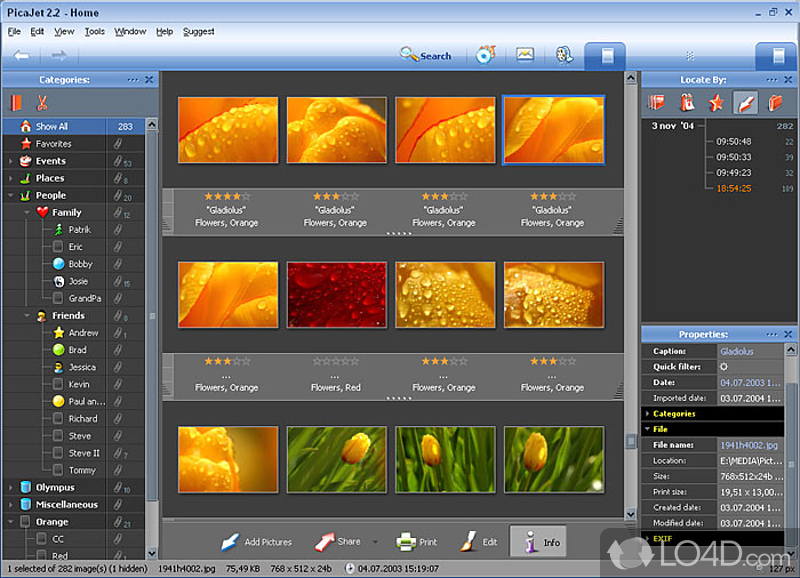 Organize digital image collection effectively, batch resize, rename, convert files - Screenshot of PicaJet Photo Organizer