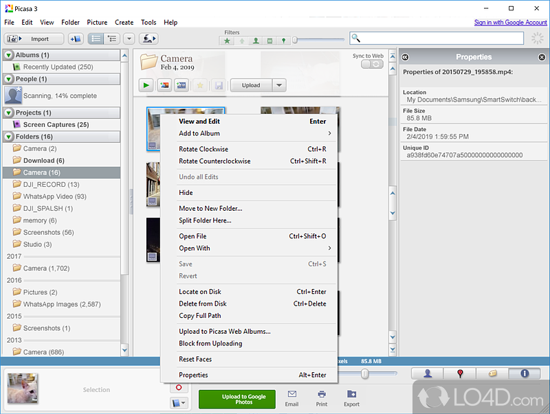 Organized into albums - Screenshot of Picasa