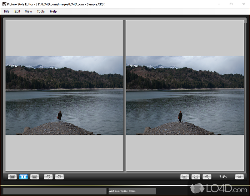 Apply different styles to Canon RAW digital photos - Screenshot of Picture Style Editor