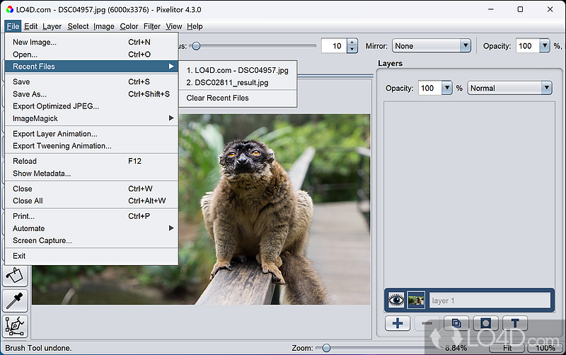 Layer-based image manipulation for increased quality - Screenshot of Pixelitor