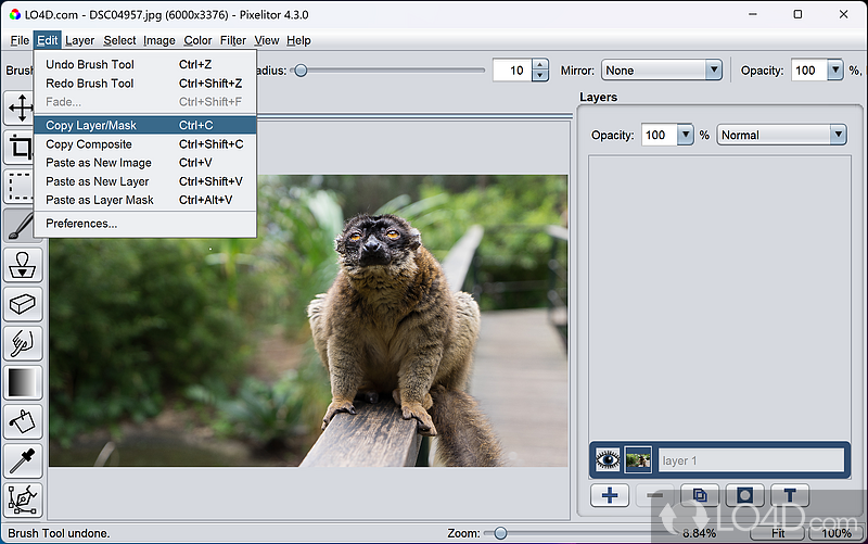 A simple yet powerful photo editor - Screenshot of Pixelitor