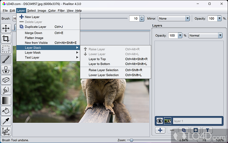 Pixelitor: Free image editor - Screenshot of Pixelitor